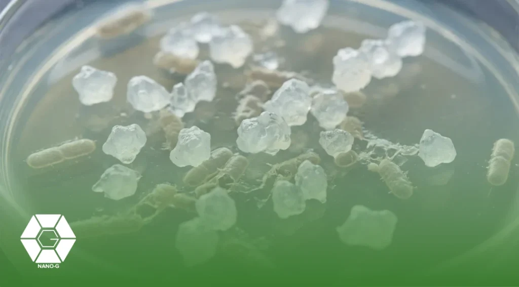 مکانیسم اثر ضد باکتریایی نانو ذرات کیتوسان